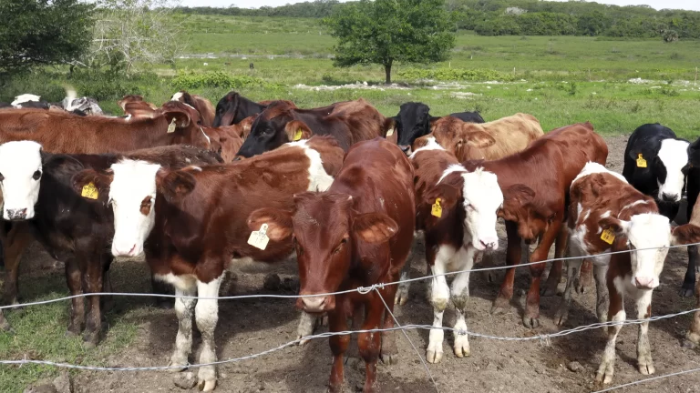 87c130fd-a810-4594-a4e5-f7383e296370