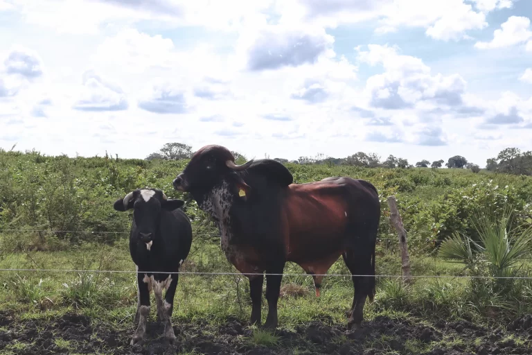 IMG_2469 - Editado - Editado